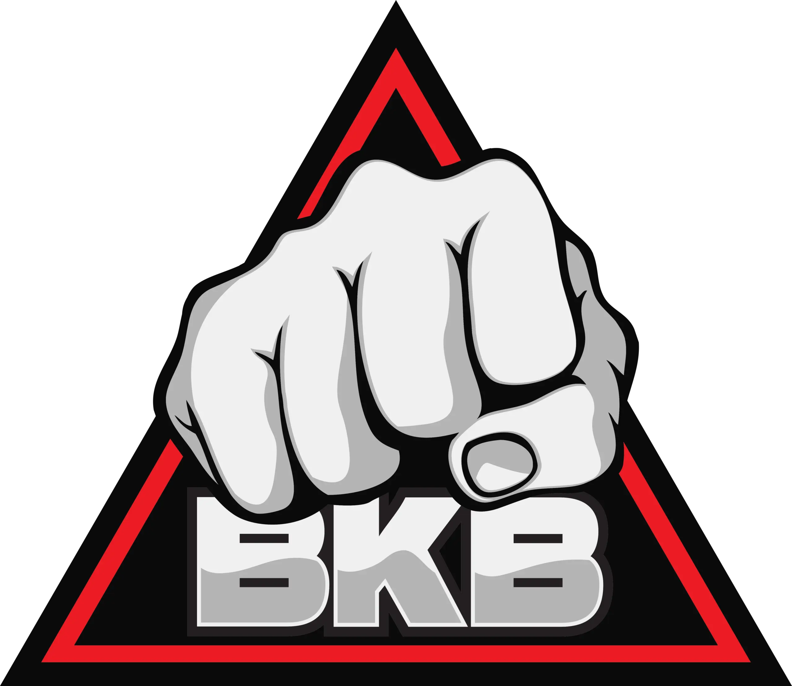 the bkb logo