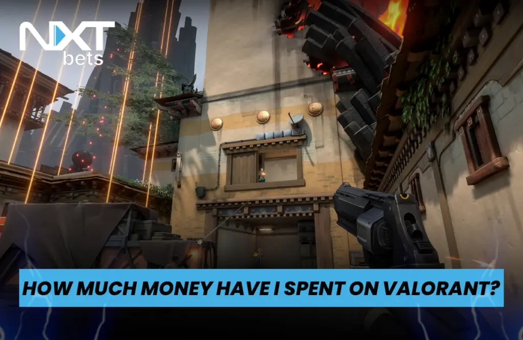 How Much Money Have I Spent on Valorant?