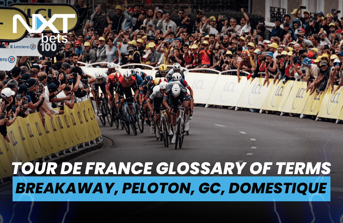 Tour de France Glossary of Terms - Breakaway, Peloton, GC, Domestique