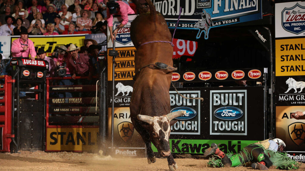 Bushwacker's Record Run Keeps PBR Bull Debate Alive