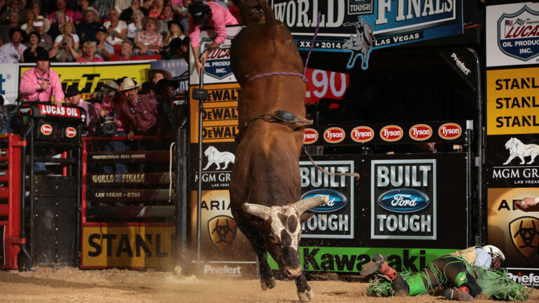 Bushwacker’s Record Run Keeps PBR Bull Debate Alive